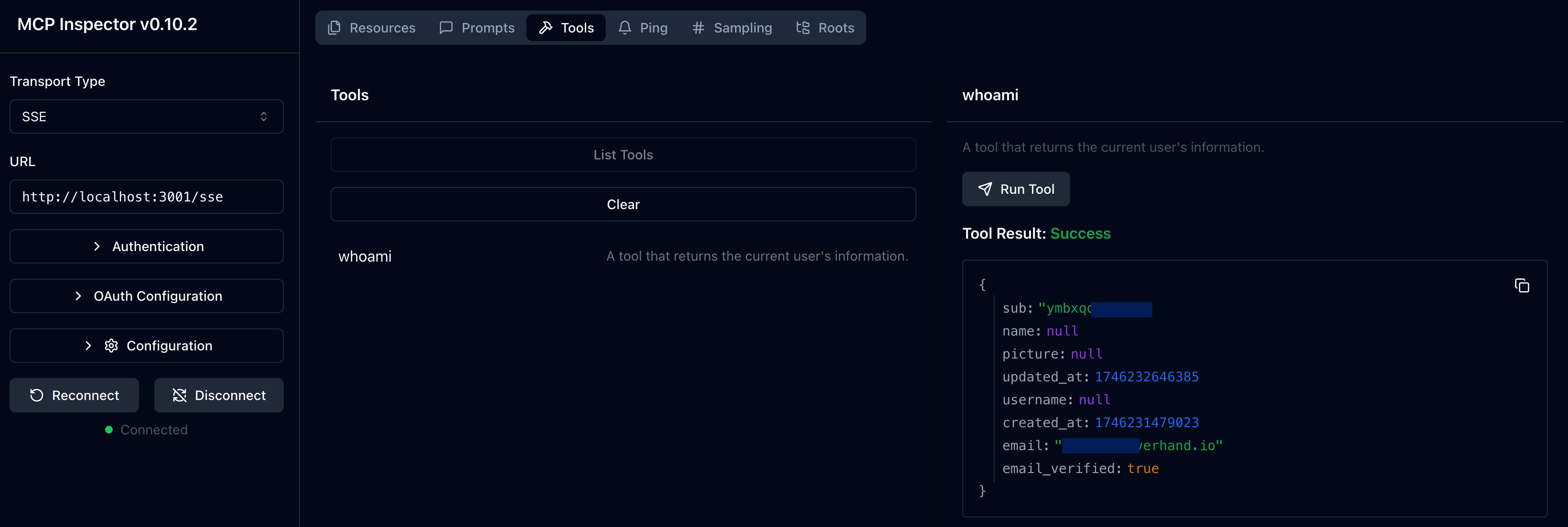 MCP inspector whoami 工具结果